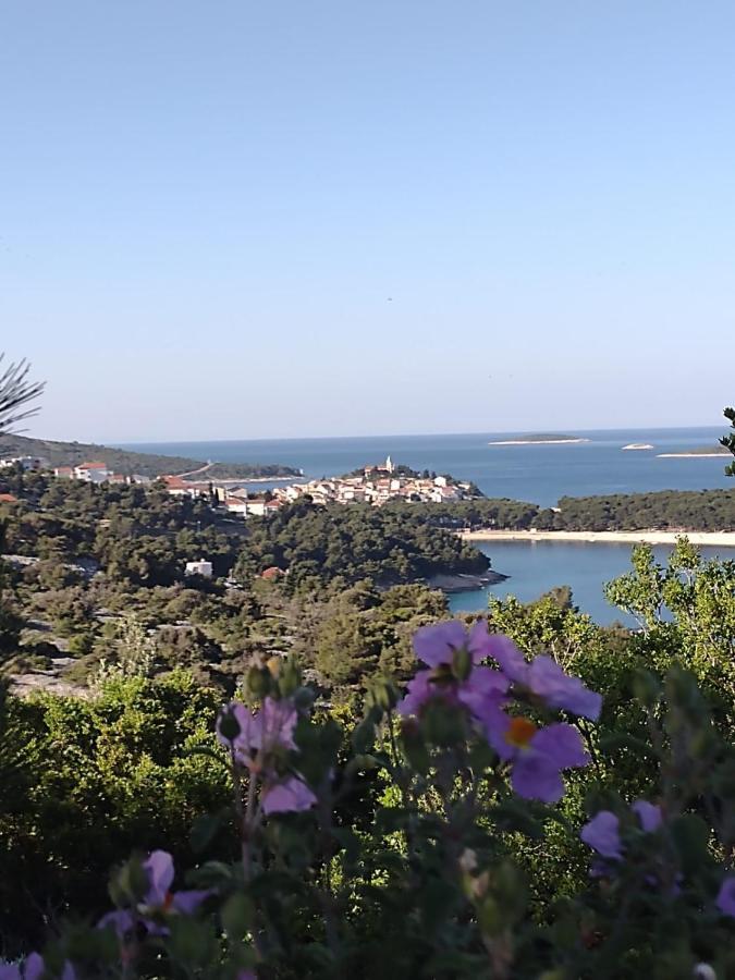 Apartmani Zmiric פרימוסטן מראה חיצוני תמונה